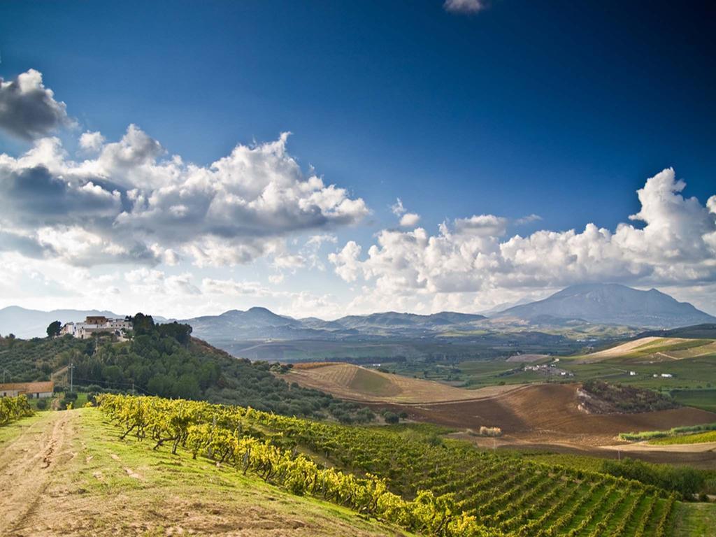 Alloggio per agricurismo葡萄酒*